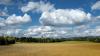Twelve steps to successful land reform